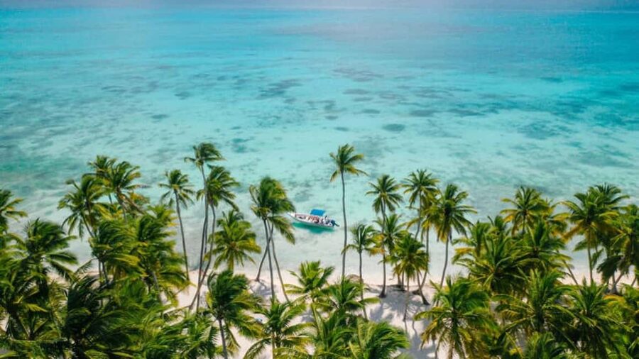 Saona Island: Catamaran/Speedboat Tour to a Dream Beach - Key things that make this Saona day trip worth it