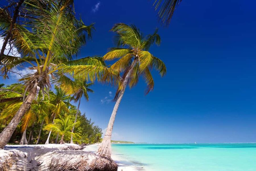 Saona Island: Catamaran/Speedboat Tour to a Dream Beach - Price and value: what $89 gets you, and what it doesn’t