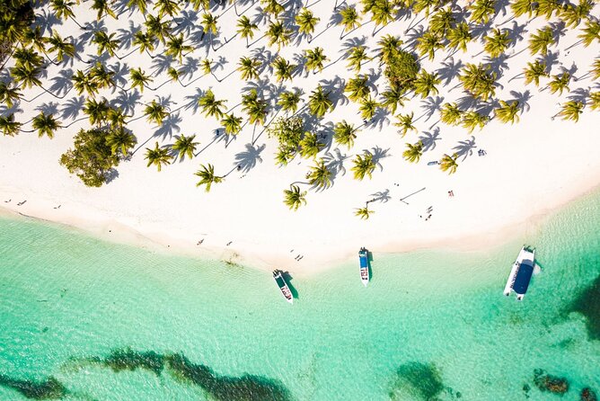 Saona Island Cruise & Private Beach - Quick take: what matters most