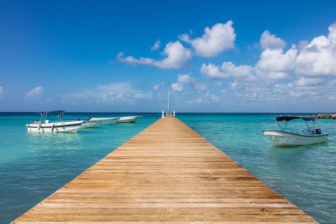 Saona Island Cruise & Private Beach - Snorkeling time: reef-safe rules that actually matter