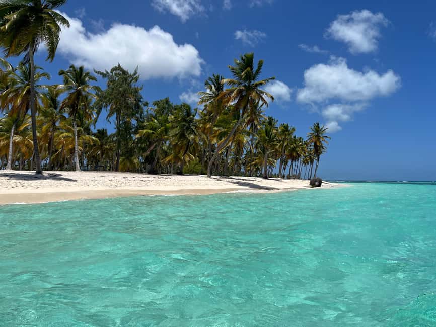 Saona Island Day for Marella Discovery (La Romana Port) - Drinks, Gear, and Comfort Details That Actually Matter