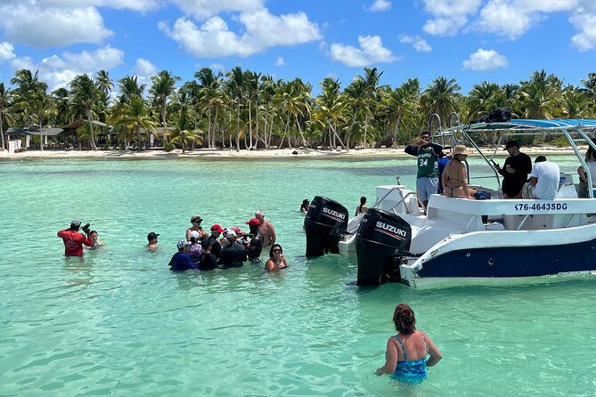 Saona Island Day Tour - The return catamaran: music, dancing, and a different vibe than the morning