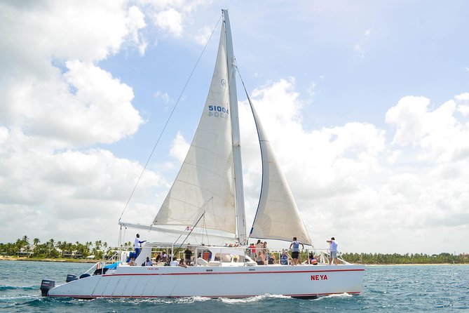 Saona Island Day Trip - Key things to know before you go