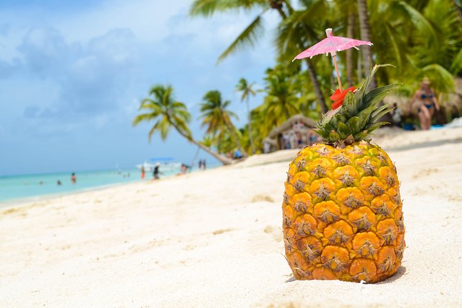 Saona Island Day Trip - Playa Palmilla natural pool: knees-deep water and coral-terrace views