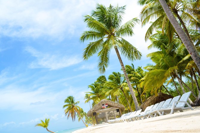 Saona Island Day Trip - Isla Saona: two hours on the island beaches