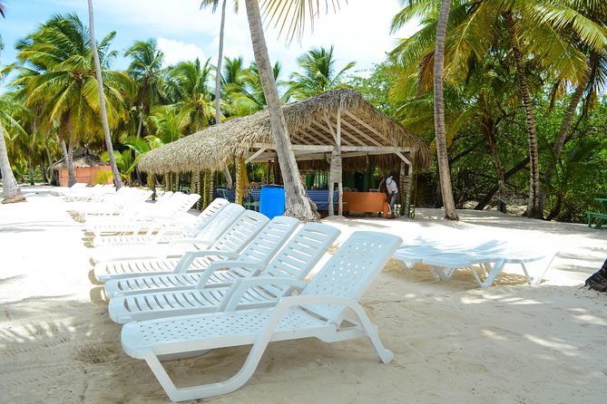 Saona Island Day Trip - Lunch, drinks, and the pace that lets you choose