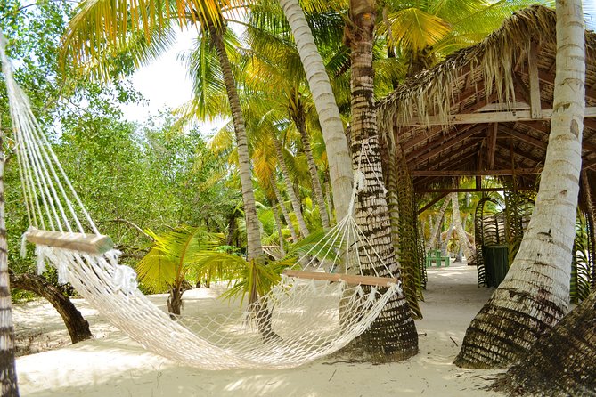 Saona Island Day Trip - Environmental reality check: plastic, reusable items, and your best move