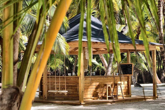 Saona Island Day Trip and Cruise from Punta Cana - Saona Island time: beaches, lagoons, and Taíno caves