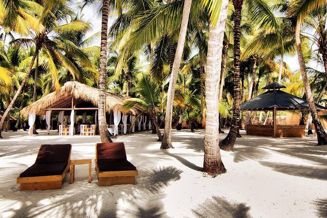 Saona Island Day Trip and Cruise from Punta Cana - Service levels: how to protect your day from transfer drama
