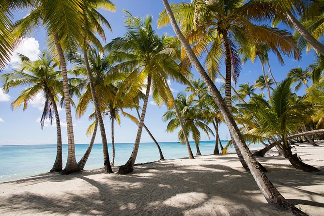 Saona Island Day Trip From Punta Cana with Lunch and Open Bar - Quick Take: Key Things That Make This Saona Trip Worth It