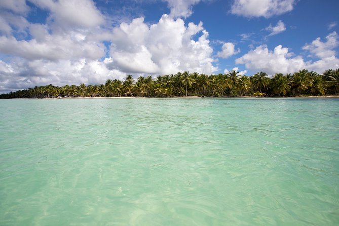 Saona Island Day Trip From Punta Cana with Lunch and Open Bar - Isla Saona Beach Time: Making the Most of About 3 Hours