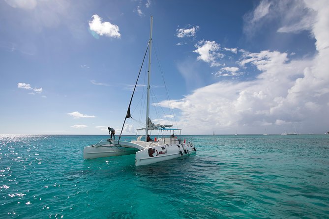 Saona Island Day Trip From Punta Cana with Lunch and Open Bar - Lunch and Open Bar: What You Actually Get for $82