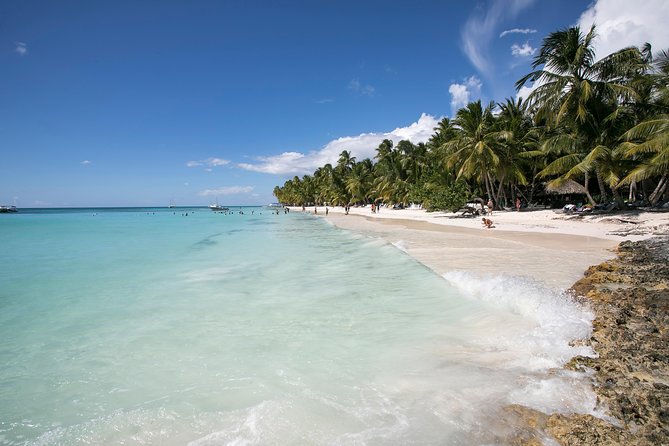 Saona Island Day Trip From Punta Cana with Lunch and Open Bar - Return Ride on a Catamaran: Dancing Helps You Forget the Transfers