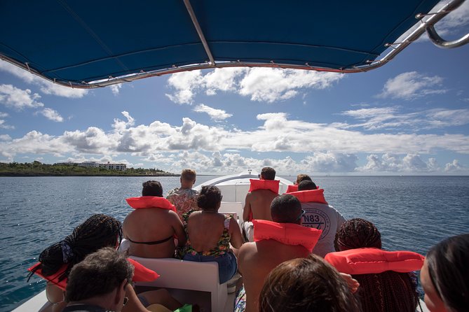 Saona Island Day Trip From Punta Cana with Lunch and Open Bar - What to Pack (So You Don’t Spend the Day Irritated)