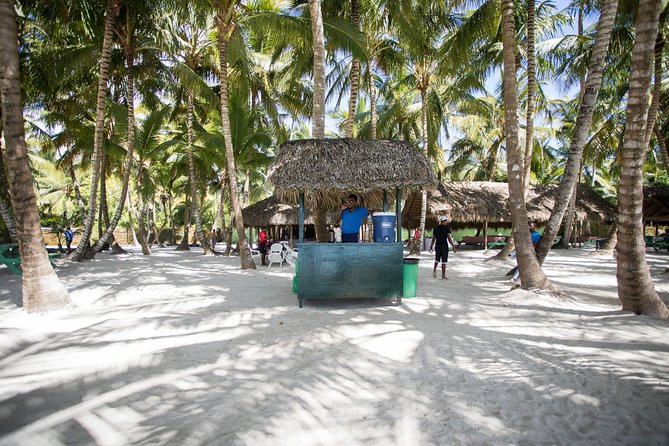 Saona Island Day Trip From Punta Cana with Lunch and Open Bar - Price Value: Is $82 a Good Deal for This Much Running Around?