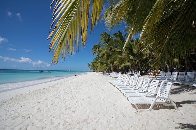 Saona Island Day Trip From Punta Cana with Lunch and Open Bar - The 8:00 am start and Bayahibe port: where time can be won or lost