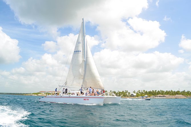 Saona Island Day Trip + Lobsters Included - The Natural Pool at Playa Palmilla: Knee-to-Waist Water With a Coral Terrace