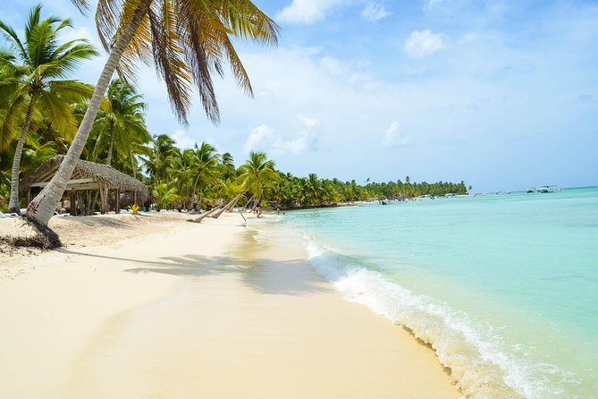 Saona Island Day Trip + Lobsters Included - Lobster Lunch and the Open Bar: How to Judge Value Fast
