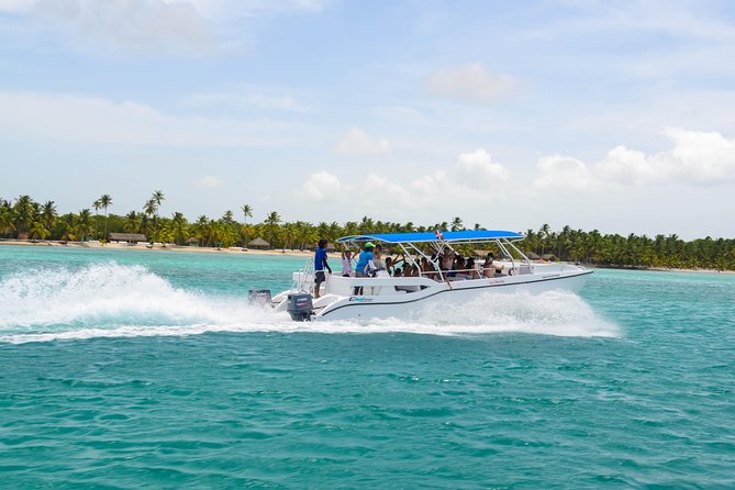 Saona Island Day Trip + Lobsters Included - Private-Tour Feel With a Cap of 40: What Personalized Attention Means Here