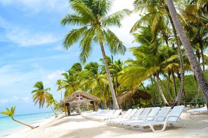 Saona Island Day Trip + Lobsters & Wine Included - Who this tour fits best (and who might skip it)
