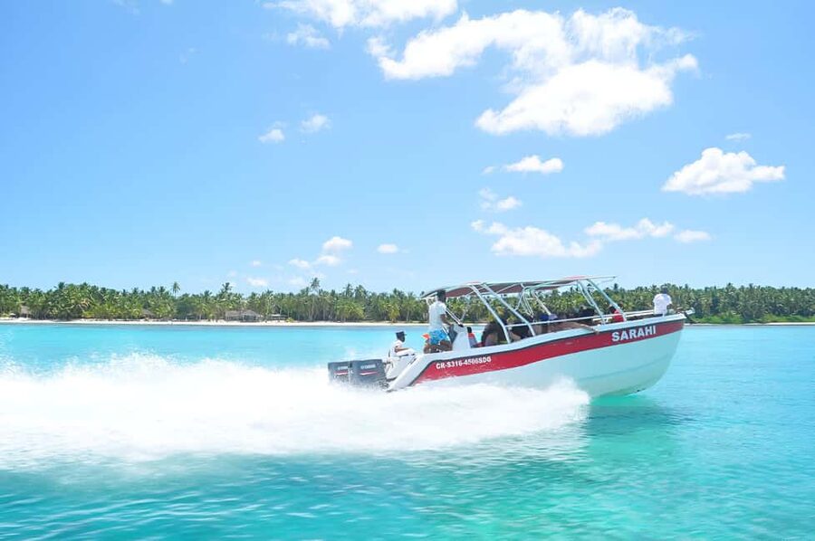 Saona Island Day Trip + Lunch + Open Bar from Punta Cana - Key Points at a Glance