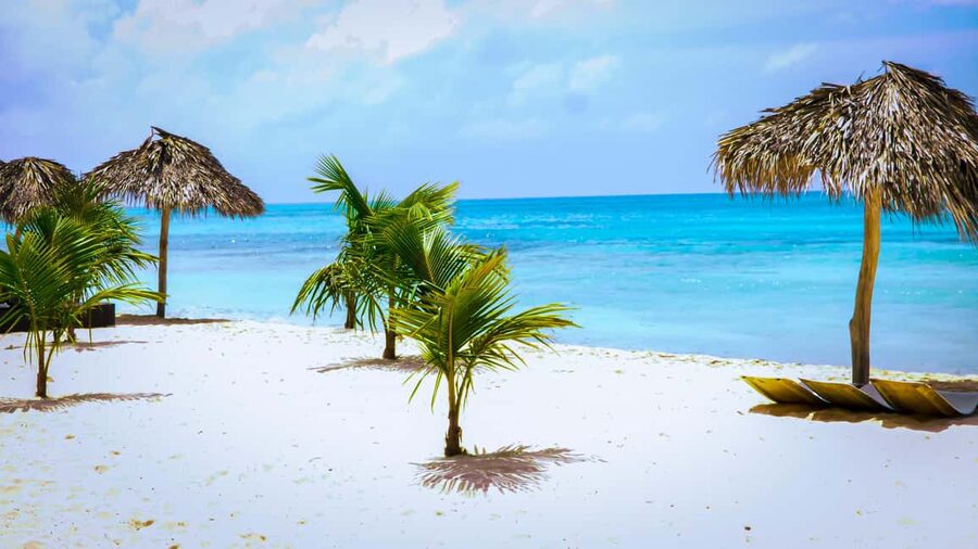 Saona Island Day Trip + Lunch + Open Bar from Punta Cana - Cotubanamá National Park: What the Guided Pass-By Adds