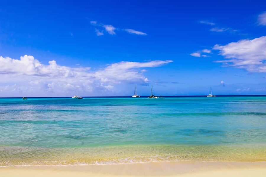 Saona Island Day Trip + Lunch + Open Bar from Punta Cana - Natural Pool and Snorkeling: Your Best Water Stop is Short