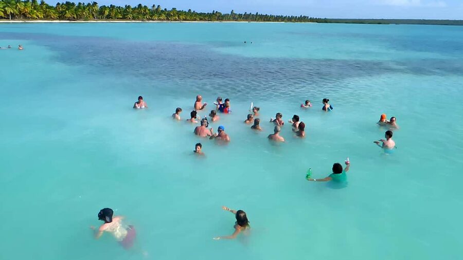 Saona Island Day Trip + Lunch + Open Bar from Punta Cana - Saona Island Beach Time: The Part You Actually Came For