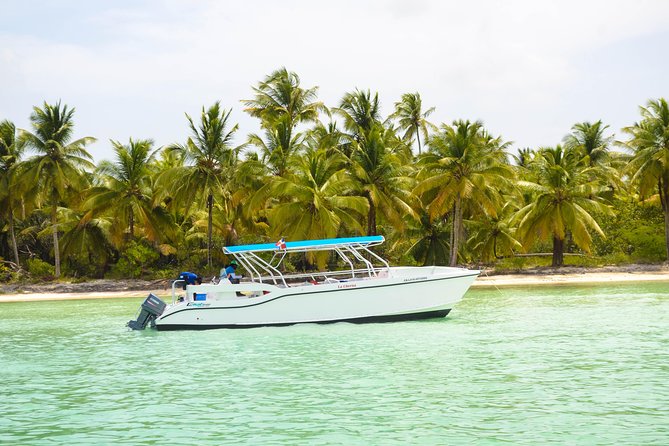 Saona Island Day Trip - Price and what you actually get for $85