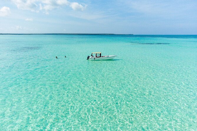 Saona Island Excursion from Bayahibe - Quick hits on Sol Cana Tours to Saona Island