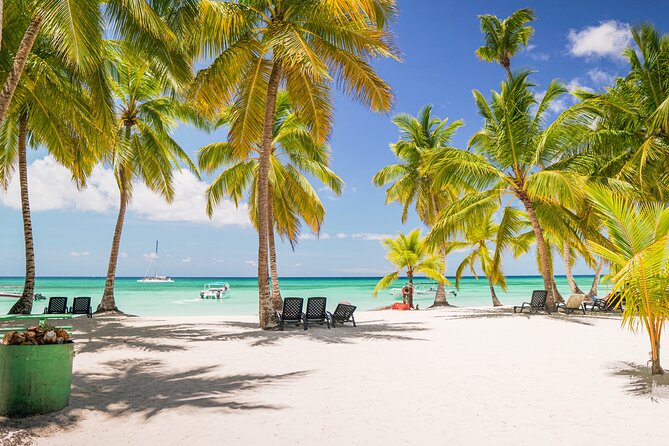 Saona Island Excursion from Bayahibe - Price and logistics: is $69 good value?