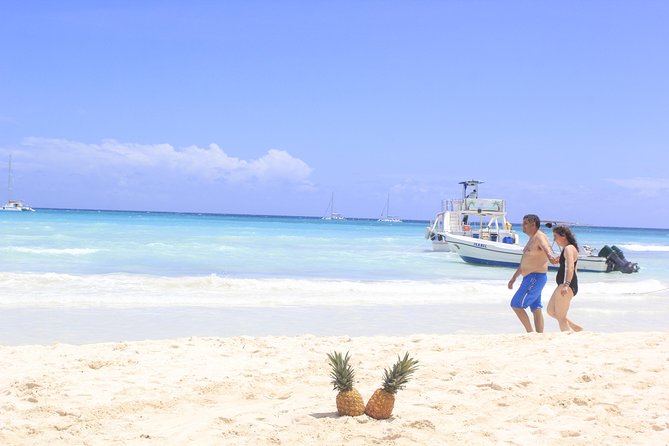 Saona Island Excursion From Punta Cana - The Island Time That Matters: Beach, Lunch, and the Open Bar