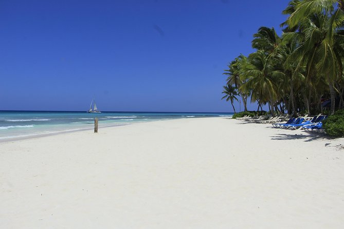 Saona Island Excursion From Punta Cana - What You’re Actually Paying For (and What’s Included)