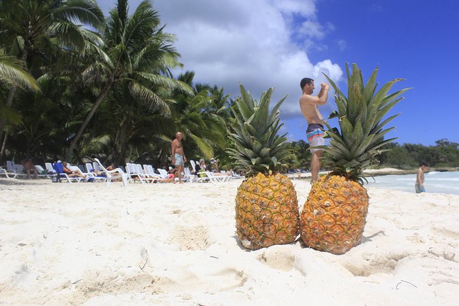 Saona Island Excursion From Punta Cana - Guides and Crew: Why People Remember This Part