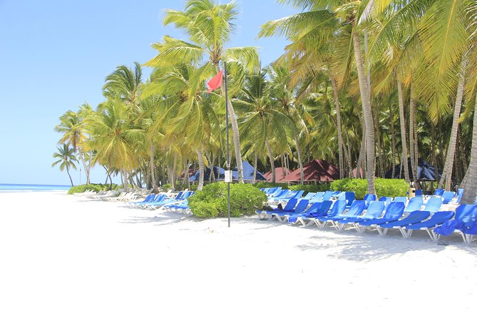Saona Island Excursion From Punta Cana - Common Logistics Headaches to Plan For