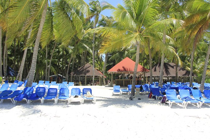 Saona Island Excursion From Punta Cana - Is This Saona Trip Worth It for You?