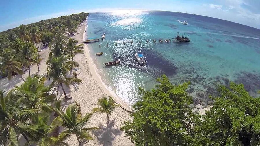Saona Island from Punta Cana Day Trip with Open Bar - Open Bar on Saona: What You Can Drink and How It Changes the Value