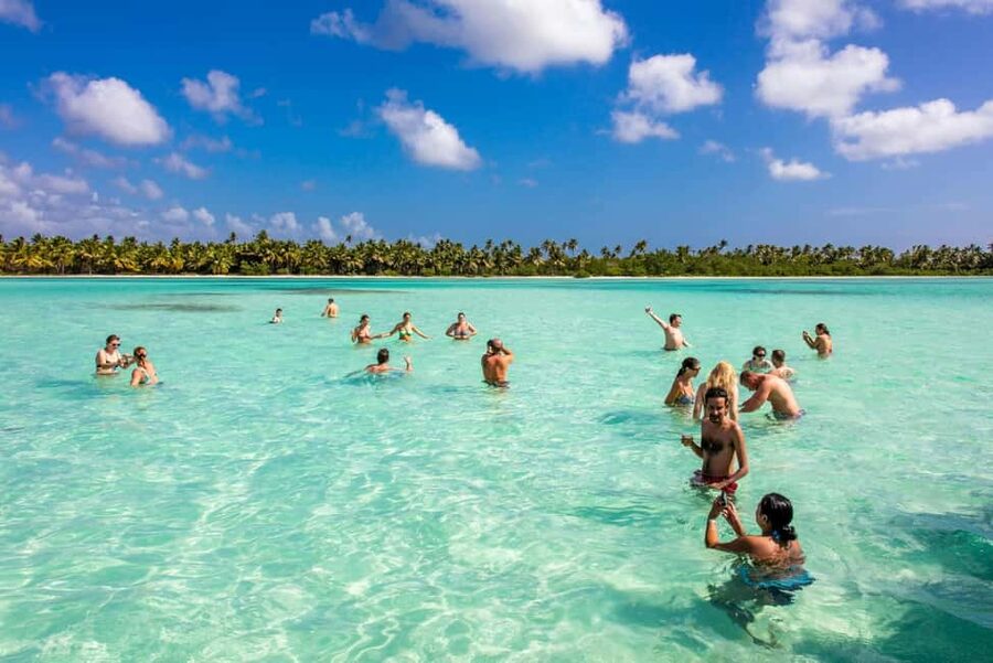 Saona Island from Punta Cana Day Trip with Open Bar - Saona Natural Pools Swim: Clear Water, a Floating Bar, and a Different Pace
