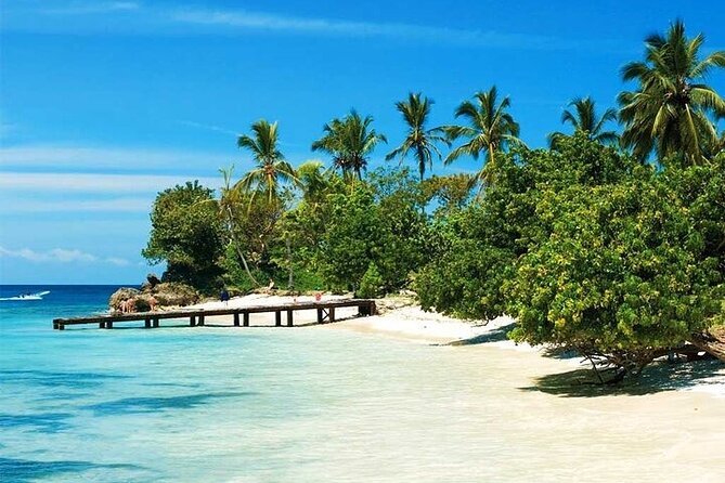 Saona Island from Punta Cana with Transportation and Lunch Included - Your day on Saona Island starts with an organized transfer