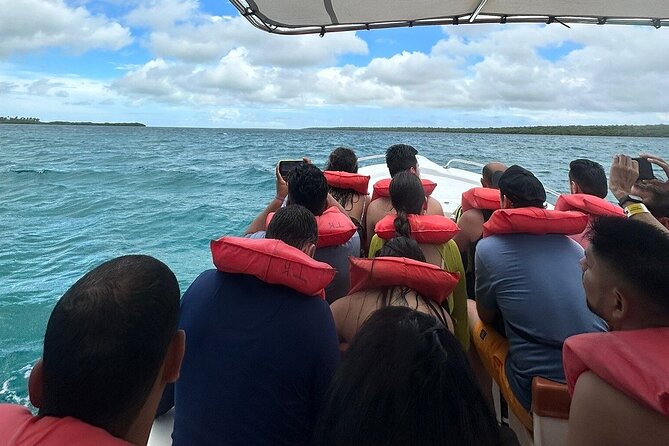 Saona Island from Punta Cana with Transportation and Lunch Included - Price and what you’re actually paying for (and why it’s fair)