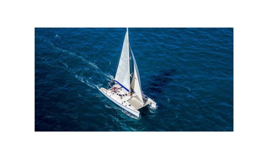 Saona Island From Santo Domingo With Catamaran, Food & Drink - Blue Lagoon stop: where the water moment happens