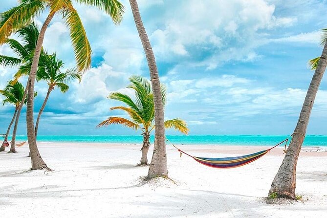Saona Island Full Day Adventure From Punta Cana & Bavaro - Speedboat and catamaran transfers: the ride is part of the show