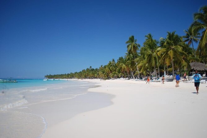 Saona Island Full Day Adventure From Punta Cana & Bavaro - Isla Saona time: natural pools and that postcard beach feeling