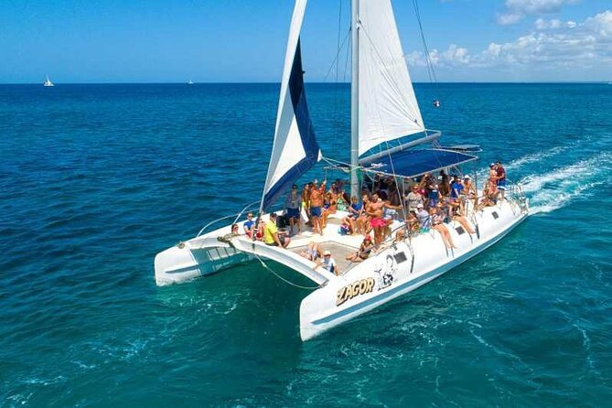 Saona Island Full Day Adventure From Punta Cana & Bavaro - Snorkeling and marine life: make it worth your time