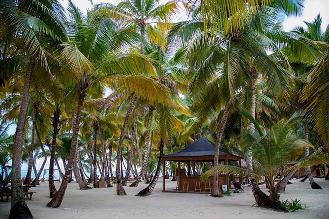 Saona Island Full Day Adventure From Punta Cana & Bavaro - Lunch on the beach: included food, included vibes