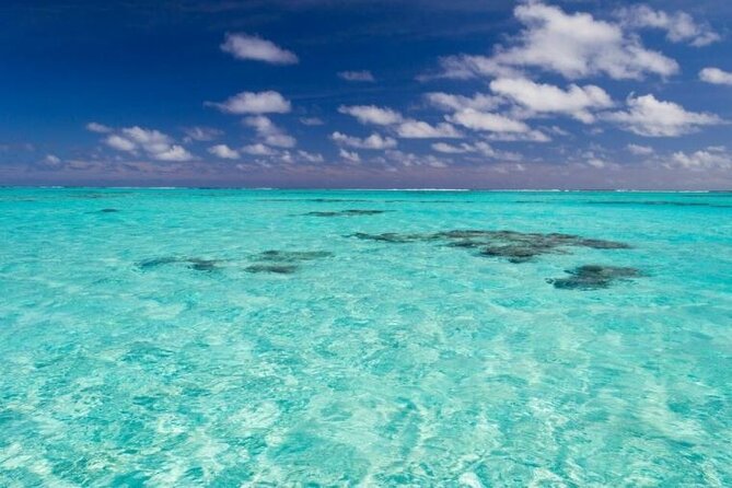 Saona Island Full-Day Excursion - Saona Island From Punta Cana: What This Day Trip Is Really Like