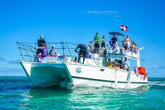 Saona Island Full-Day Excursion - The Guide Experience: When Staff Turns Chaos Into Comfort