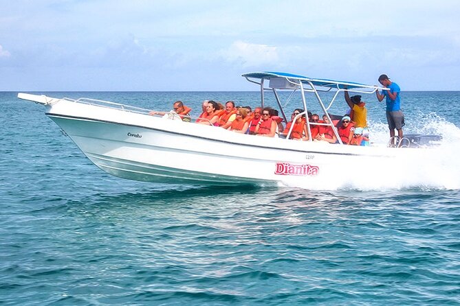 Saona Island Full Day Excursion from Punta Cana + Catamaran Party - Food and Drinks: What You Should Expect (and What to Pack)