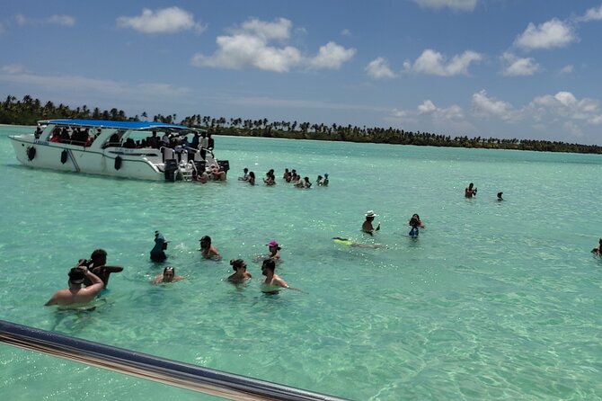 Saona Island Full Day From Punta Cana - Key Points You’ll Care About