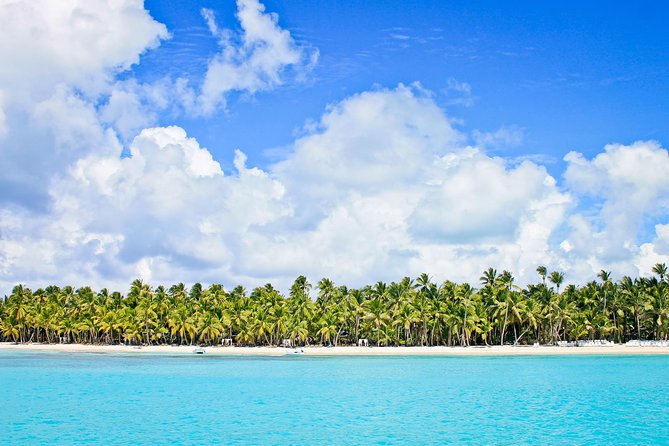 Saona Island Full Day From Punta Cana - Saona Island Time: White Sand, Palm Lines, and Real Beach Choices